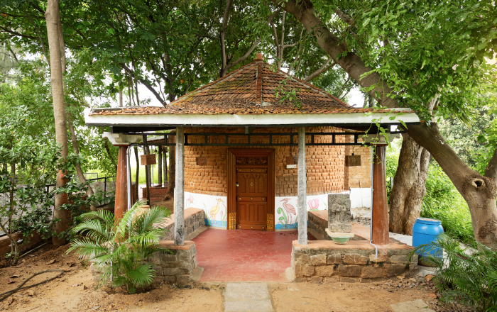 A Walk Through Stillness